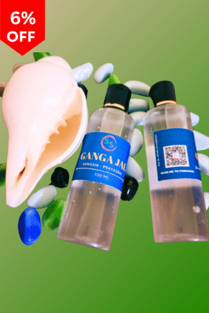 Ganga Jal 200 mL (100 mL x  2 Bottle)