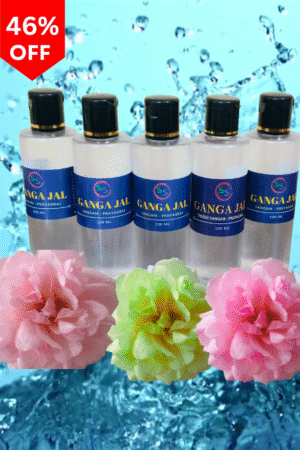 Ganga Jal 500 mL (100 mL x  5 Bottle)