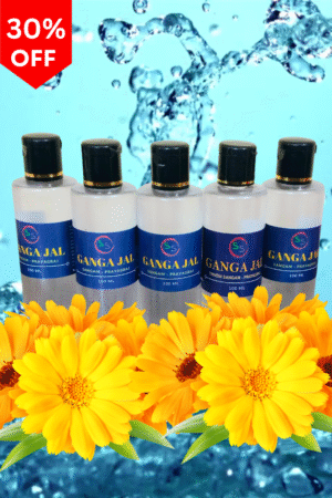 Ganga Jal 1 Litre (100 mL x  10 Bottle)
