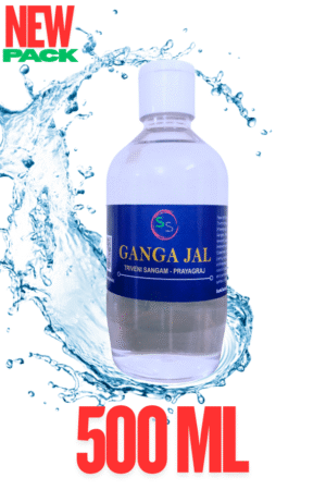Ganga Jal 500 mL (250 mL x  2 Bottle)